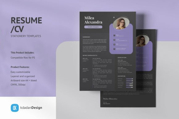 Professional Resume Templates for Modern Job Seekers